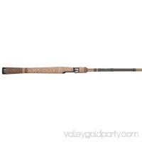 Fenwick Eagle Salmon/Steelhead Spinning Fishing Rod   553469730